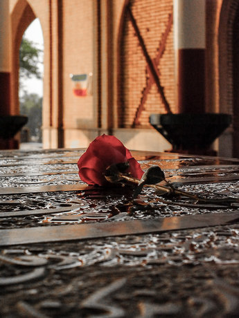 ادای احترام سینماگران به شهدای دفاع مقدس و سینما رکس آبادان